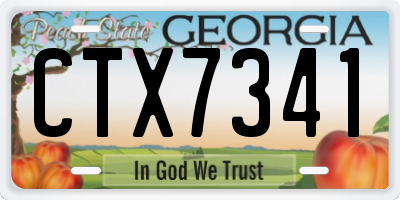 GA license plate CTX7341