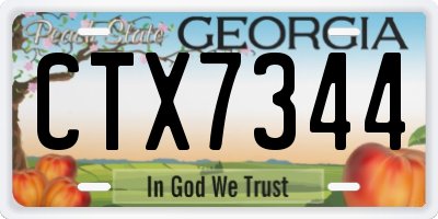 GA license plate CTX7344