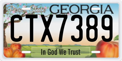 GA license plate CTX7389