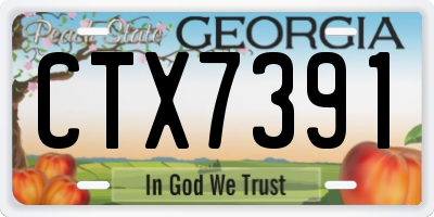 GA license plate CTX7391