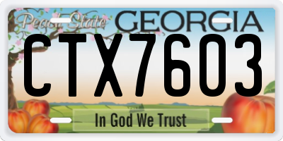 GA license plate CTX7603