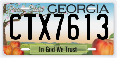 GA license plate CTX7613