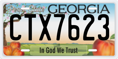 GA license plate CTX7623