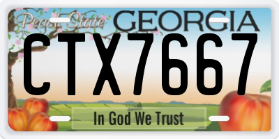 GA license plate CTX7667