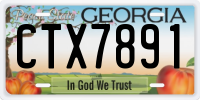 GA license plate CTX7891