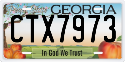 GA license plate CTX7973
