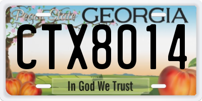 GA license plate CTX8014