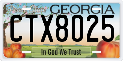GA license plate CTX8025