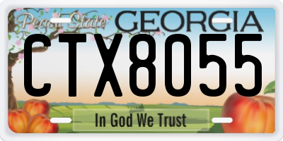 GA license plate CTX8055