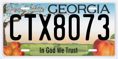 GA license plate CTX8073