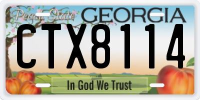 GA license plate CTX8114