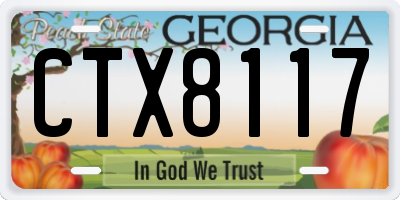 GA license plate CTX8117