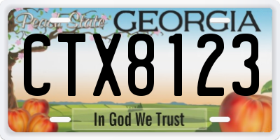GA license plate CTX8123