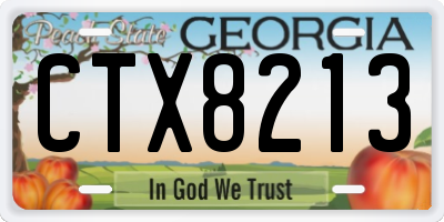 GA license plate CTX8213