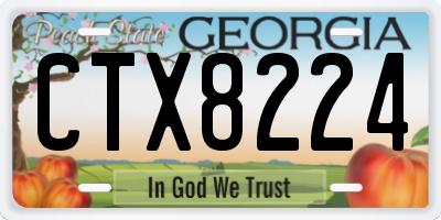 GA license plate CTX8224