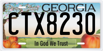 GA license plate CTX8230