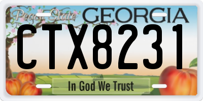 GA license plate CTX8231