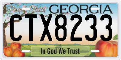 GA license plate CTX8233
