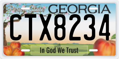 GA license plate CTX8234