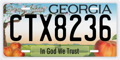 GA license plate CTX8236