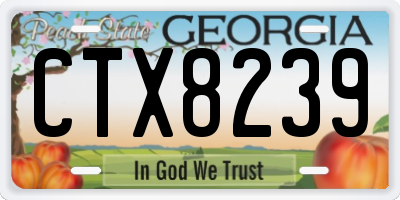 GA license plate CTX8239