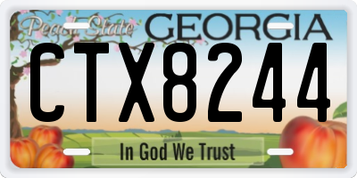 GA license plate CTX8244
