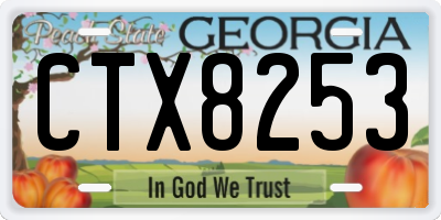 GA license plate CTX8253