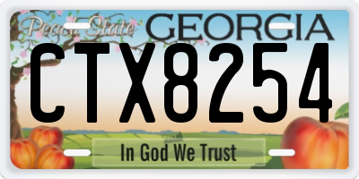 GA license plate CTX8254