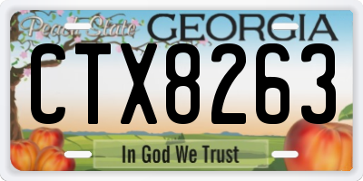 GA license plate CTX8263