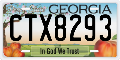 GA license plate CTX8293