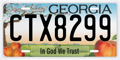 GA license plate CTX8299