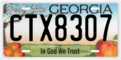 GA license plate CTX8307