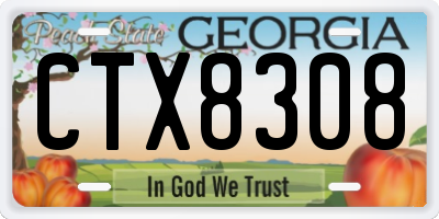 GA license plate CTX8308