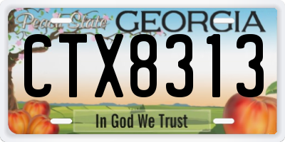GA license plate CTX8313
