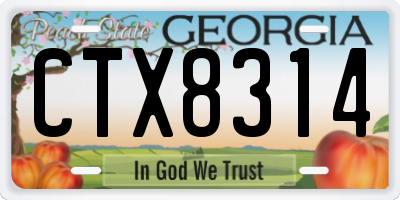 GA license plate CTX8314