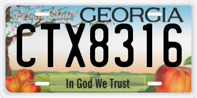 GA license plate CTX8316