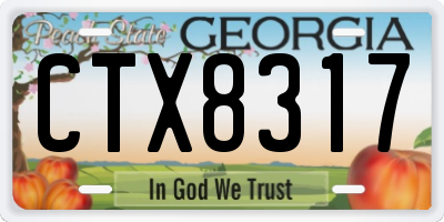 GA license plate CTX8317