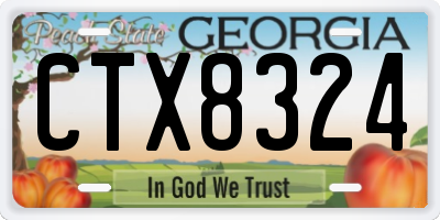 GA license plate CTX8324