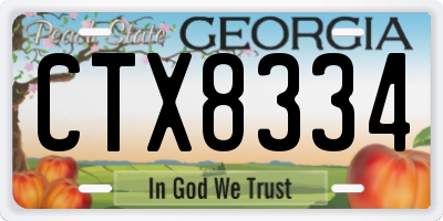 GA license plate CTX8334