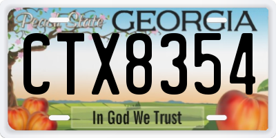 GA license plate CTX8354