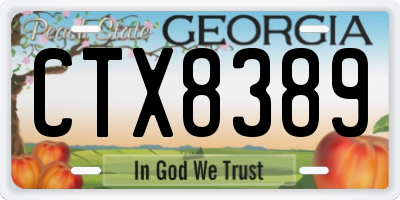 GA license plate CTX8389