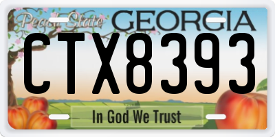 GA license plate CTX8393
