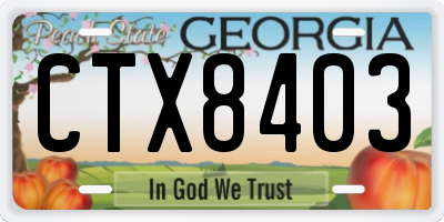 GA license plate CTX8403