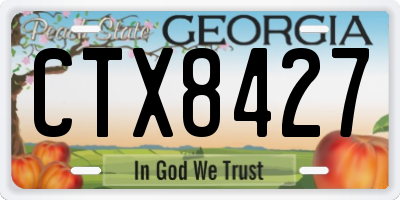 GA license plate CTX8427