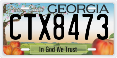 GA license plate CTX8473