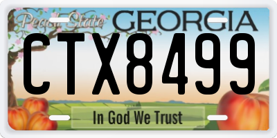 GA license plate CTX8499