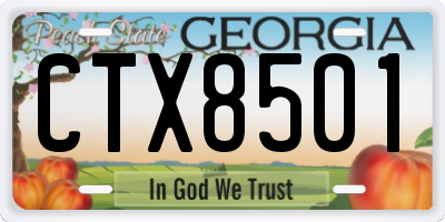 GA license plate CTX8501