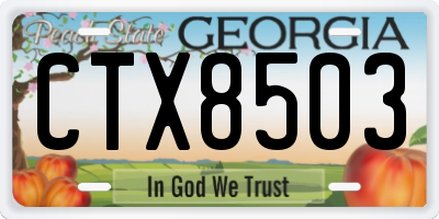 GA license plate CTX8503