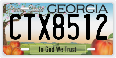 GA license plate CTX8512