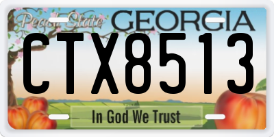 GA license plate CTX8513